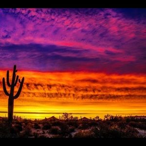 Meet your Posher, Shayna